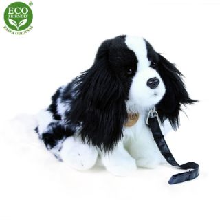 Obrázek z Pes kavalier na vodítku plyš 27cm 